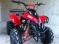 ATV uri de 125 cc NOI Honda  yamaha  BMW fara permis   Bonus