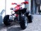 De Vanzare ATV Quad Racing TRX250 20CP