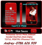 Service Gsm Specializat Apple iPOD Dipsplay Spart iPod 4 0786626939