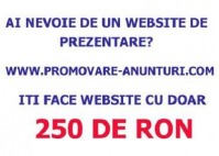 Website cu doar 250 RON