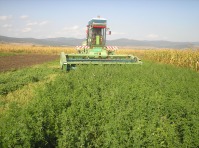 Windrower E 303